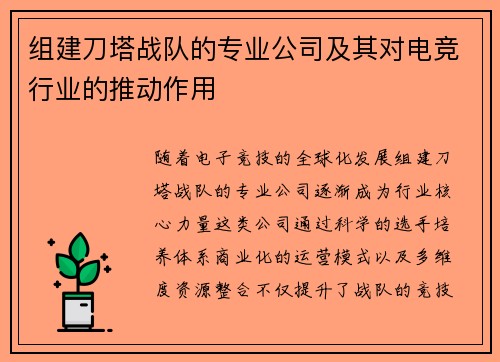 组建刀塔战队的专业公司及其对电竞行业的推动作用